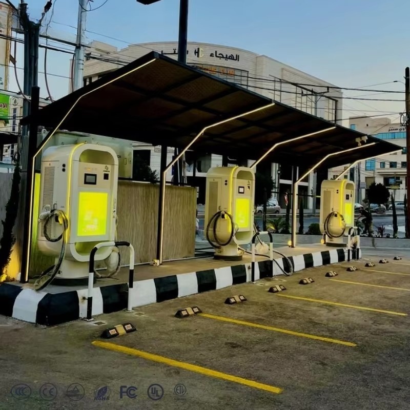 Stasiun Pengisian Daya Cepat S - Ev Charging Pile ulasan dan harga