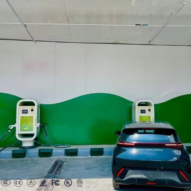 Stasiun Pengisian Daya Cepat S - Ev Charging Pile ulasan dan harga